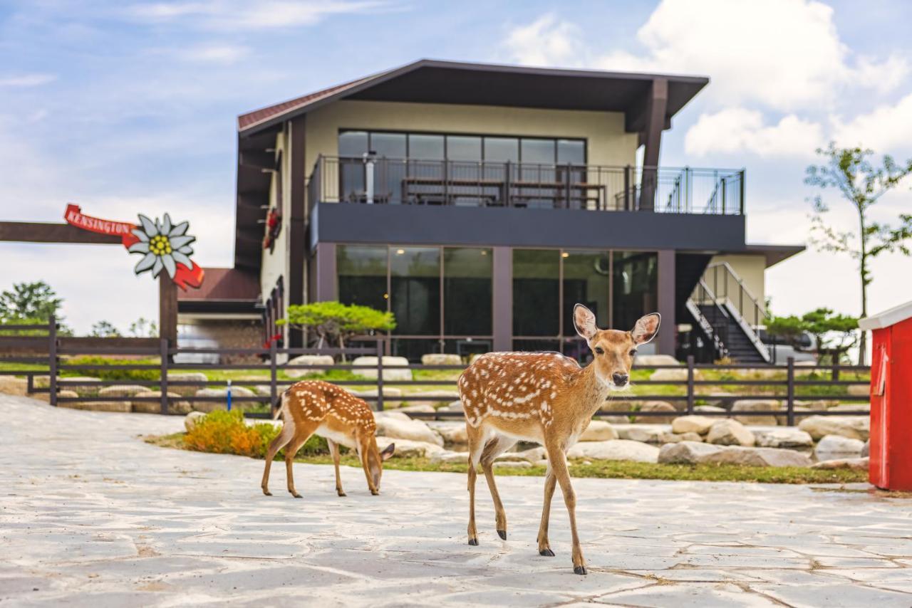 Kensington Resort Seorak Valley Sokčcho Exteriér fotografie