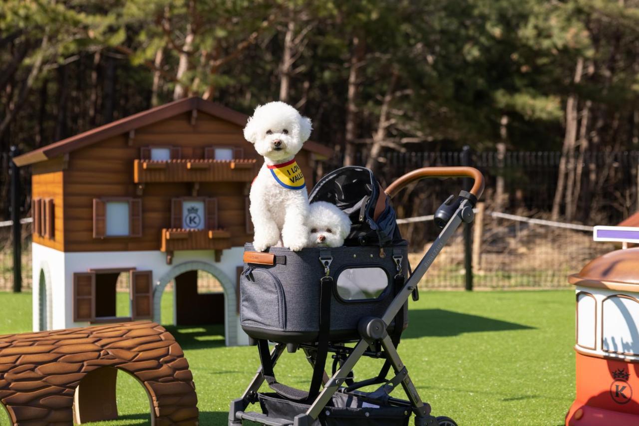 Kensington Resort Seorak Valley Sokčcho Exteriér fotografie