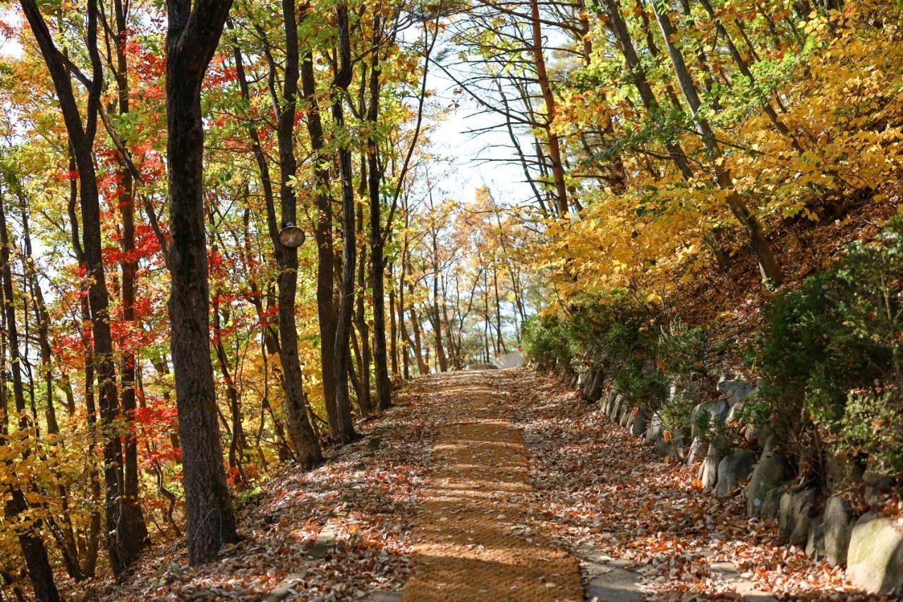 Kensington Resort Seorak Valley Sokčcho Exteriér fotografie